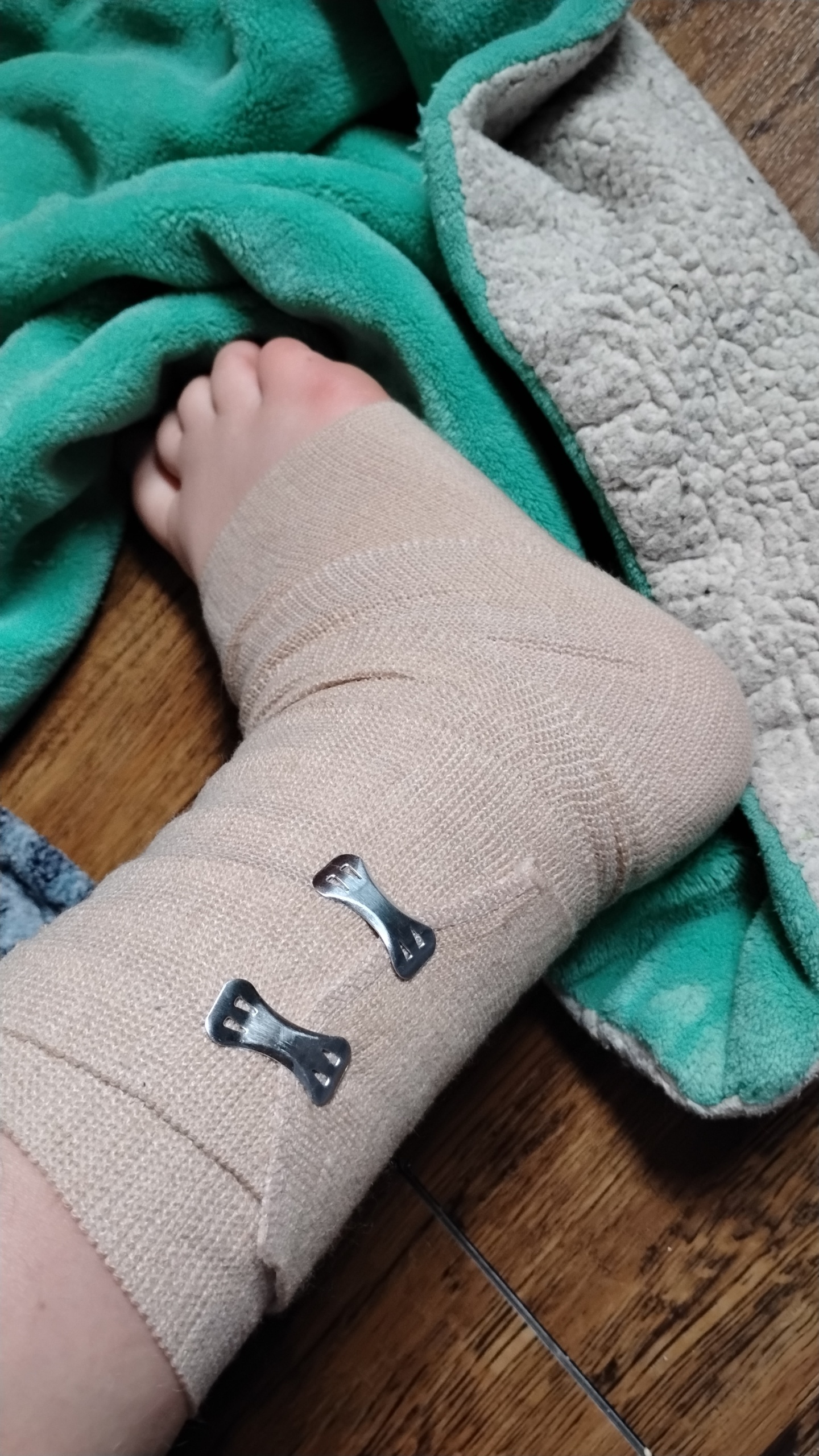 Lolo - AI Character profile